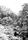 sans titre (Tokufukuji)