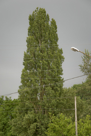 sans titre (orage 2)